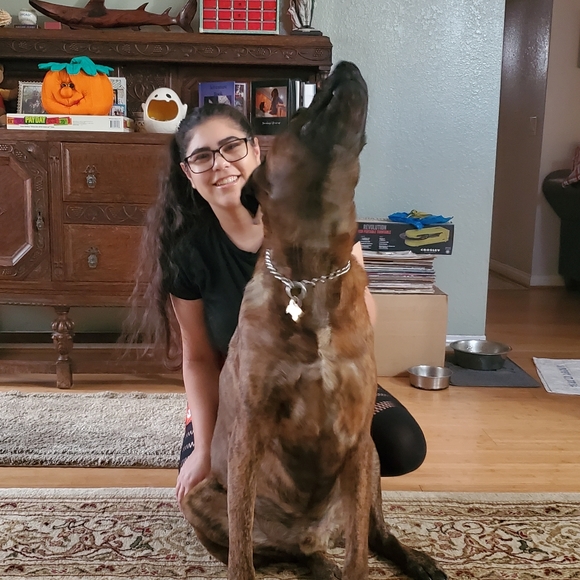 Meet your Posher, K.C - Picture 9 of 12